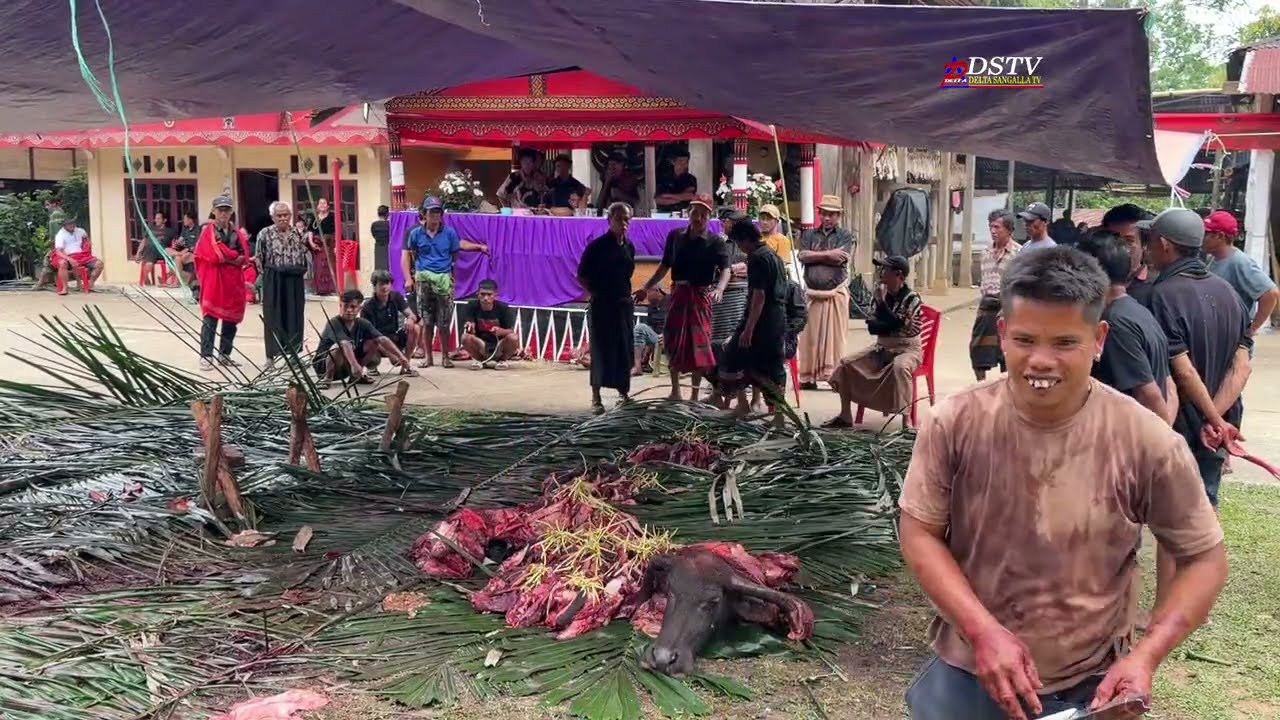 Ma Tombi Prosesi adat Aluk Pia Alm. Ne' Datuan di Tongkonan Lebani' Leatung Sangalla' Utara 10 Febru