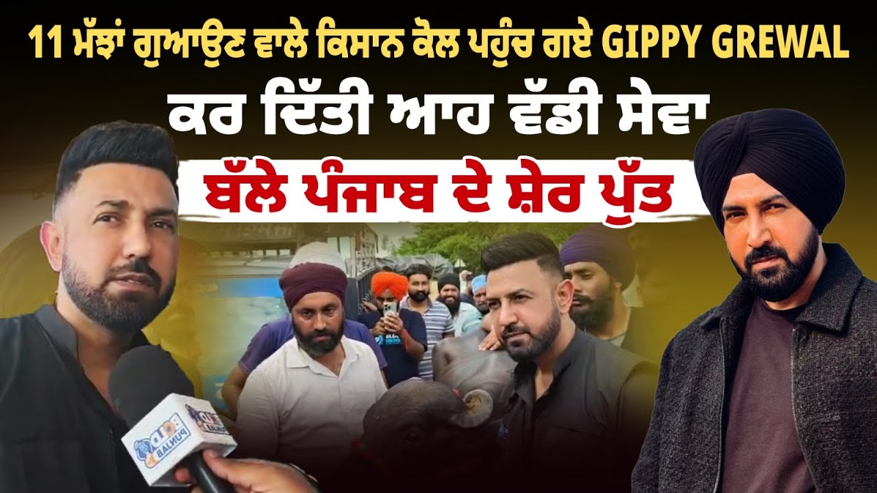 11 ਮੱਝਾਂ ਗੁਆਉਣ ਵਾਲੇ ਕਿਸਾਨ ਕੋਲ ਪਹੁੰਚ ਗਏ GIPPY GREWAL | BOLD PUNJAB TV