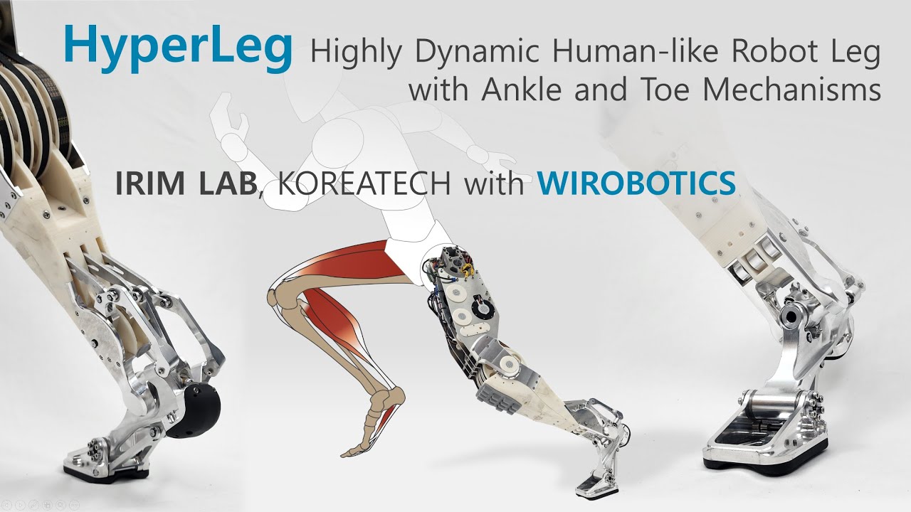 Introducing HyperLeg: Human-like Robot Leg and Foot for Highly Dynamic Motions