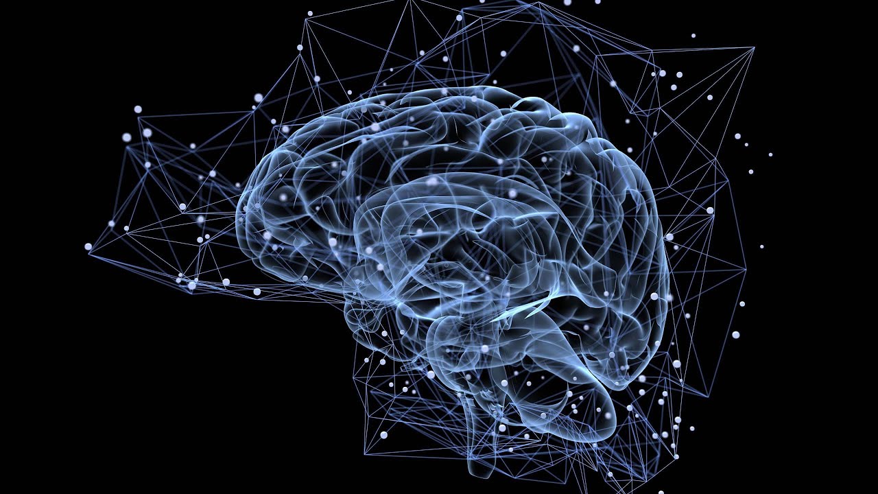 Direct Pathway - Basal Ganglia