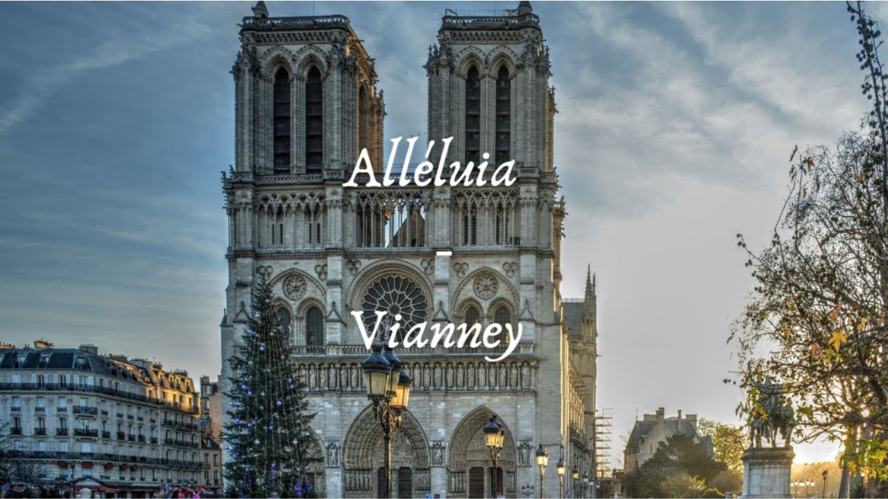 Alléluia (Hallelujah) - Vianney (Lyrics and English Traduction) Réouverture de Notre-Dame de Paris