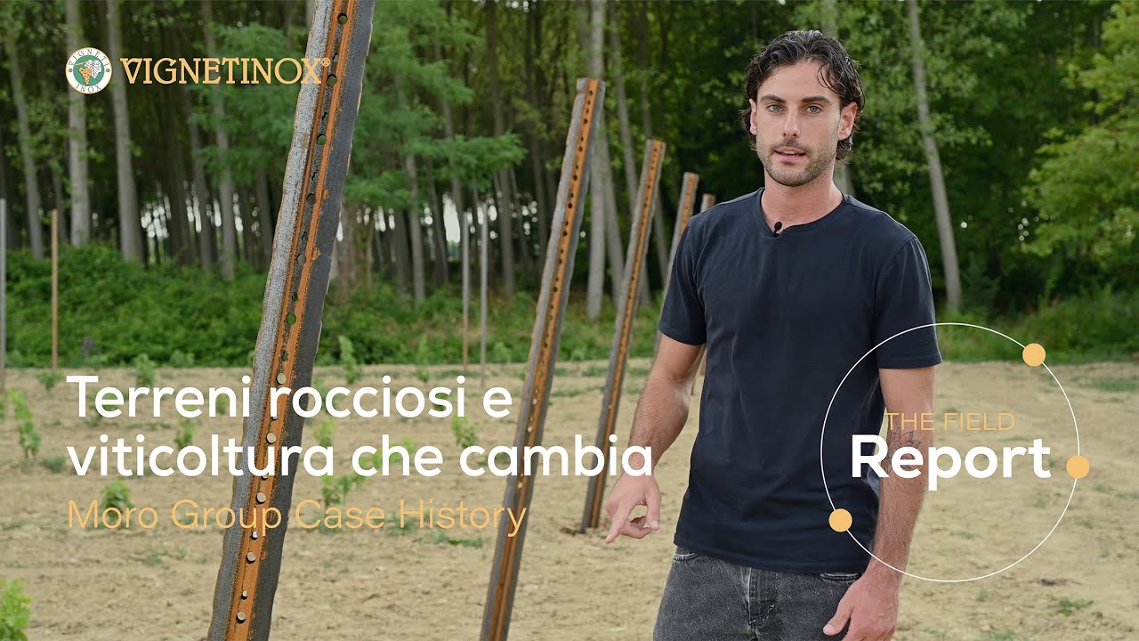 Terreni rocciosi e viticoltura che cambia: il caso Moro Group // Intervista a Tommaso Moro