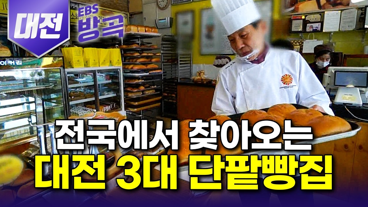 [대전광역시] 