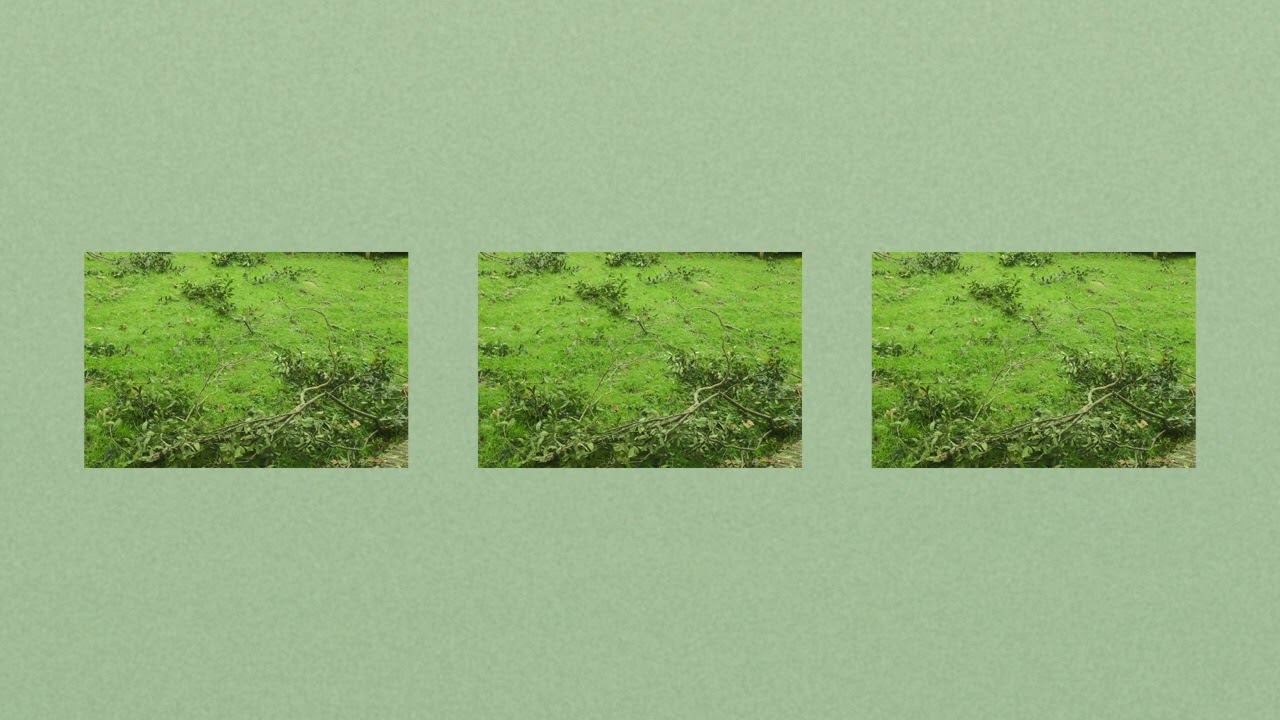 rhizomatic system demo 1