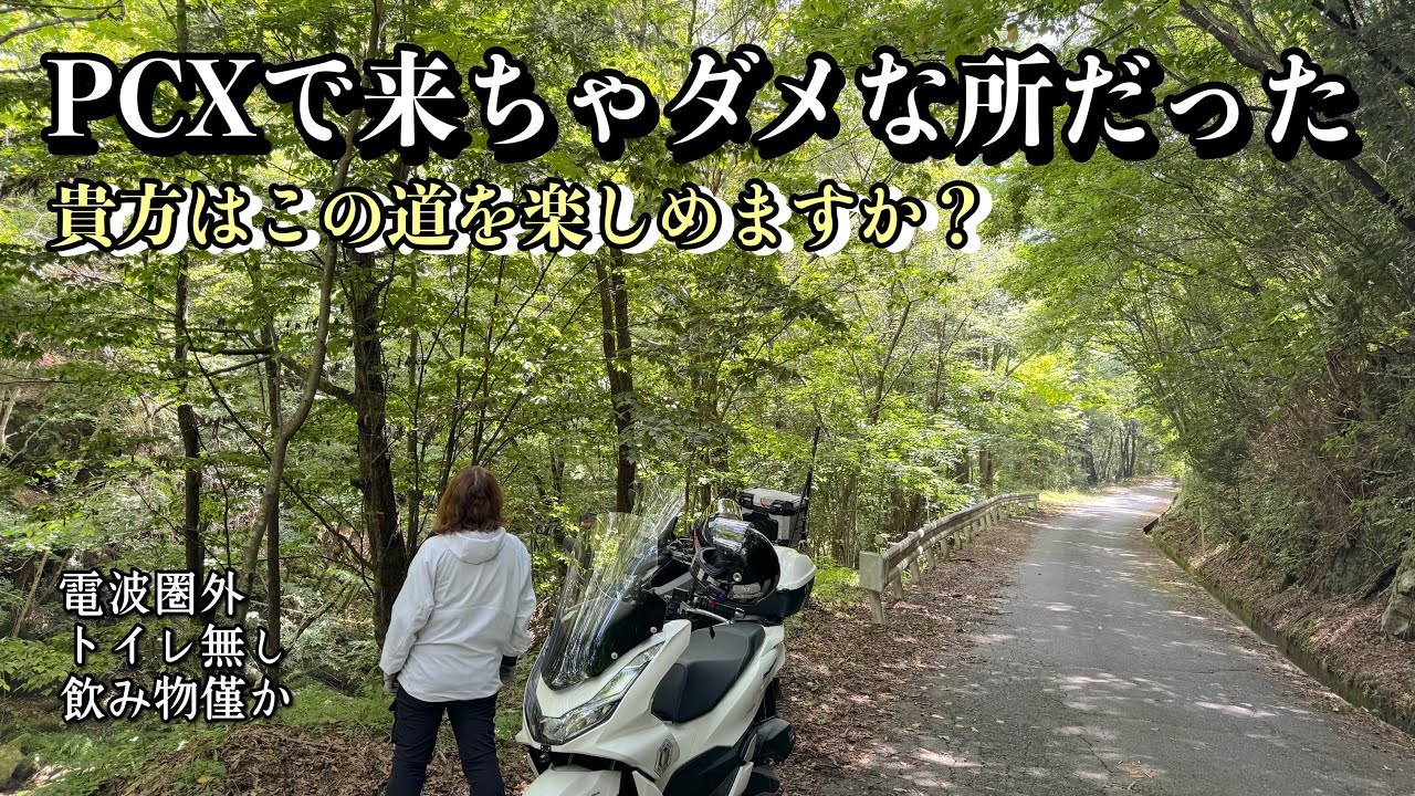 [PCXとNC750]どうしたら、よかったんだろう・・・