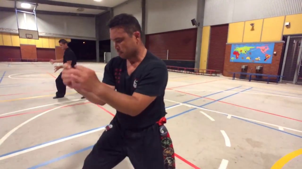 Australian School of Kung Fu & Tai Chi: Tong Long Fat Sou Techniques