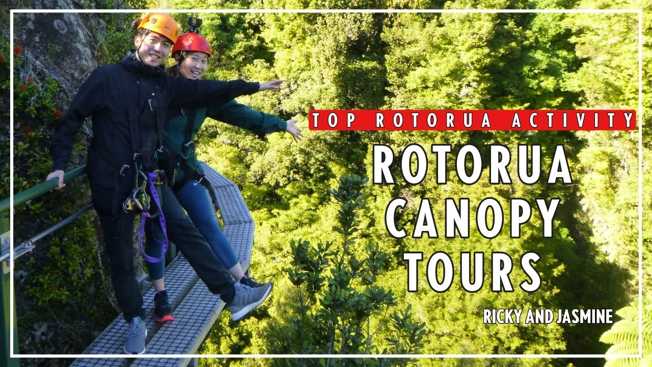 Best Native Forest Zipline ll Rotorua Canopy Tours NEW ZEALAND