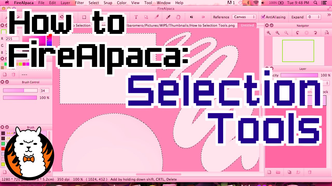Selection Tools on FireAlpaca
