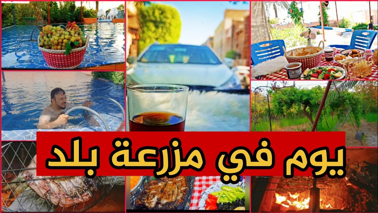 سفرة الى بساتين بلد في محافظة صلاح الدين في العراق- اقضوا يوم معي في بستان/ مزرعة بلد/iraq bald farm