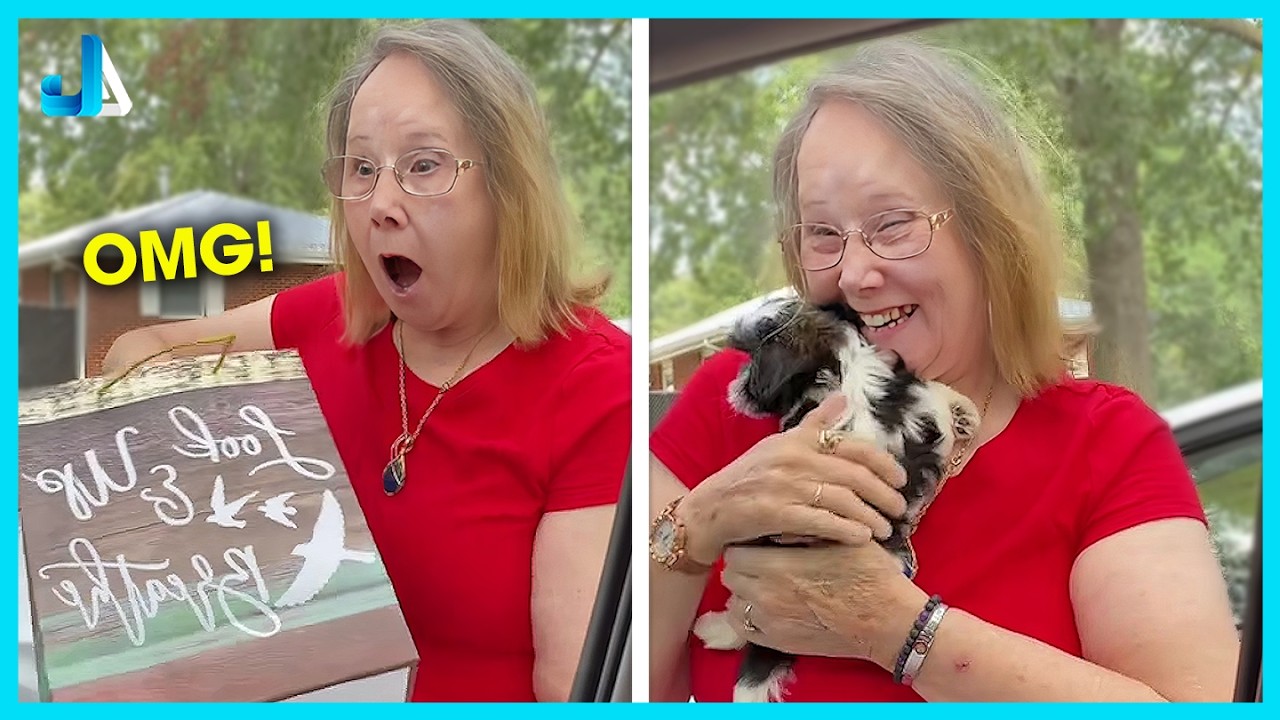 💕 Grandparents Getting a Puppy for the First Time | Heartwarming Reactions