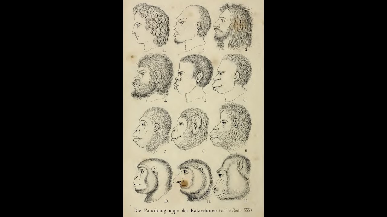 Eugenics
