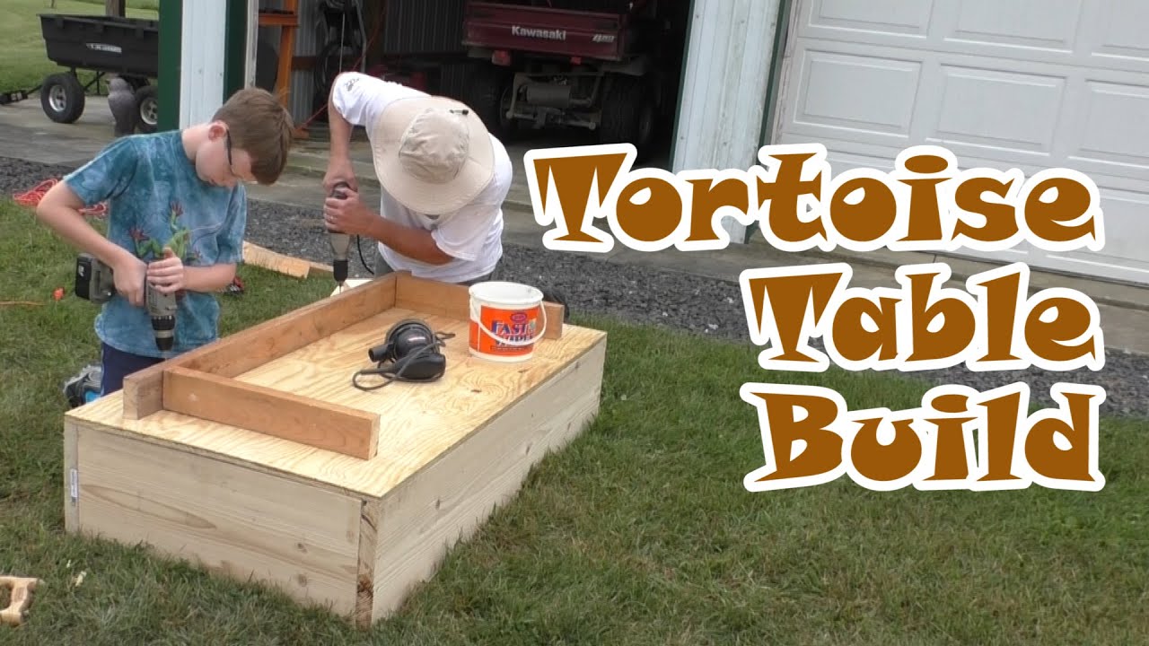Tortoise Table Build