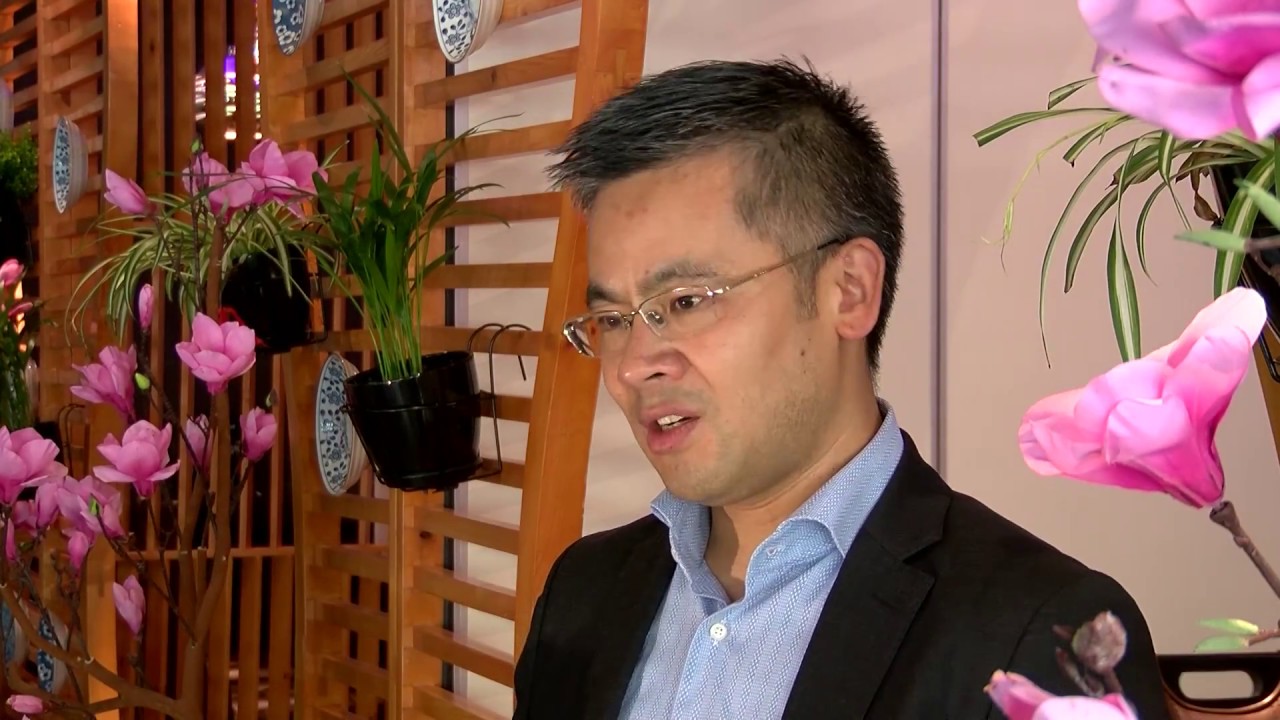 RheinmainTV Restaurant Nagoya in Offenbach
