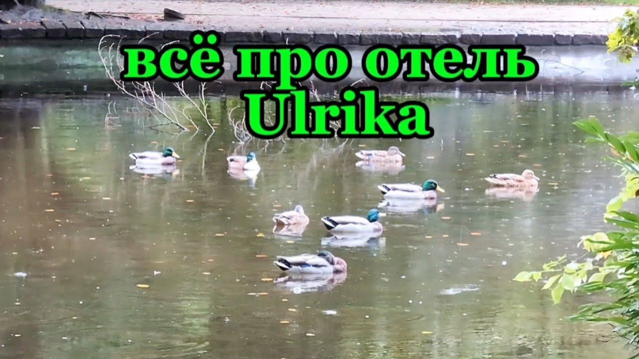с Германии в Чехию / отель Ulrika / Карловы Вары