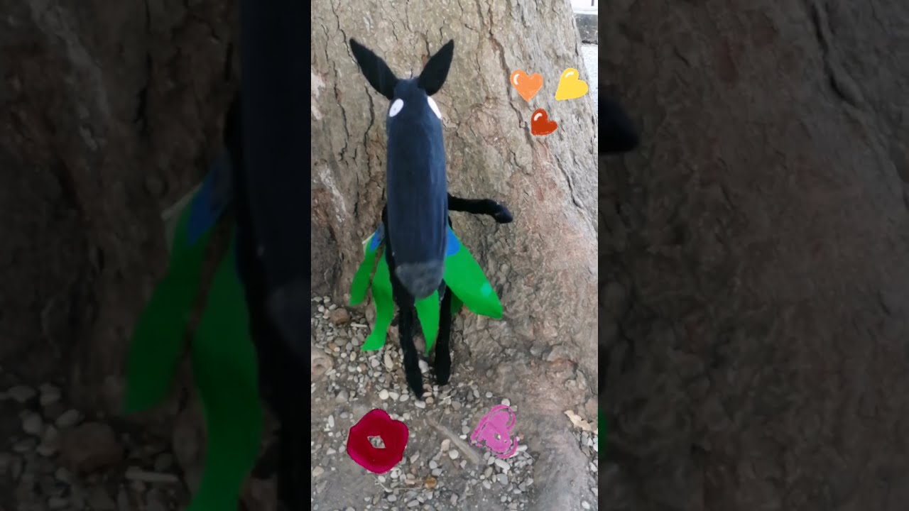 Il lupo che voleva cambiare colore