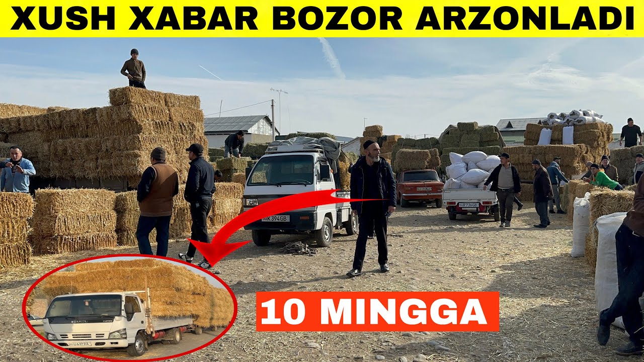 MOL BOQISH ENDI OSON😳 BEDA,SOMON,SELOS NARXLARI AZONLADI.NANMANGAN 