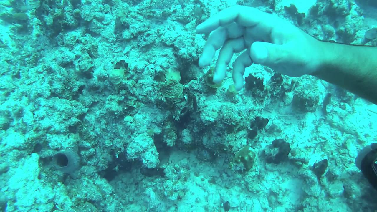 piramyd site colombus island