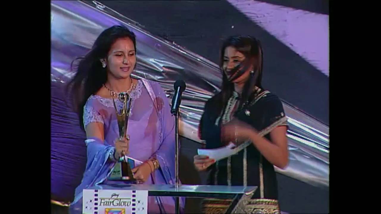 Zee Cine Awards 2002 Best Story Lagaan