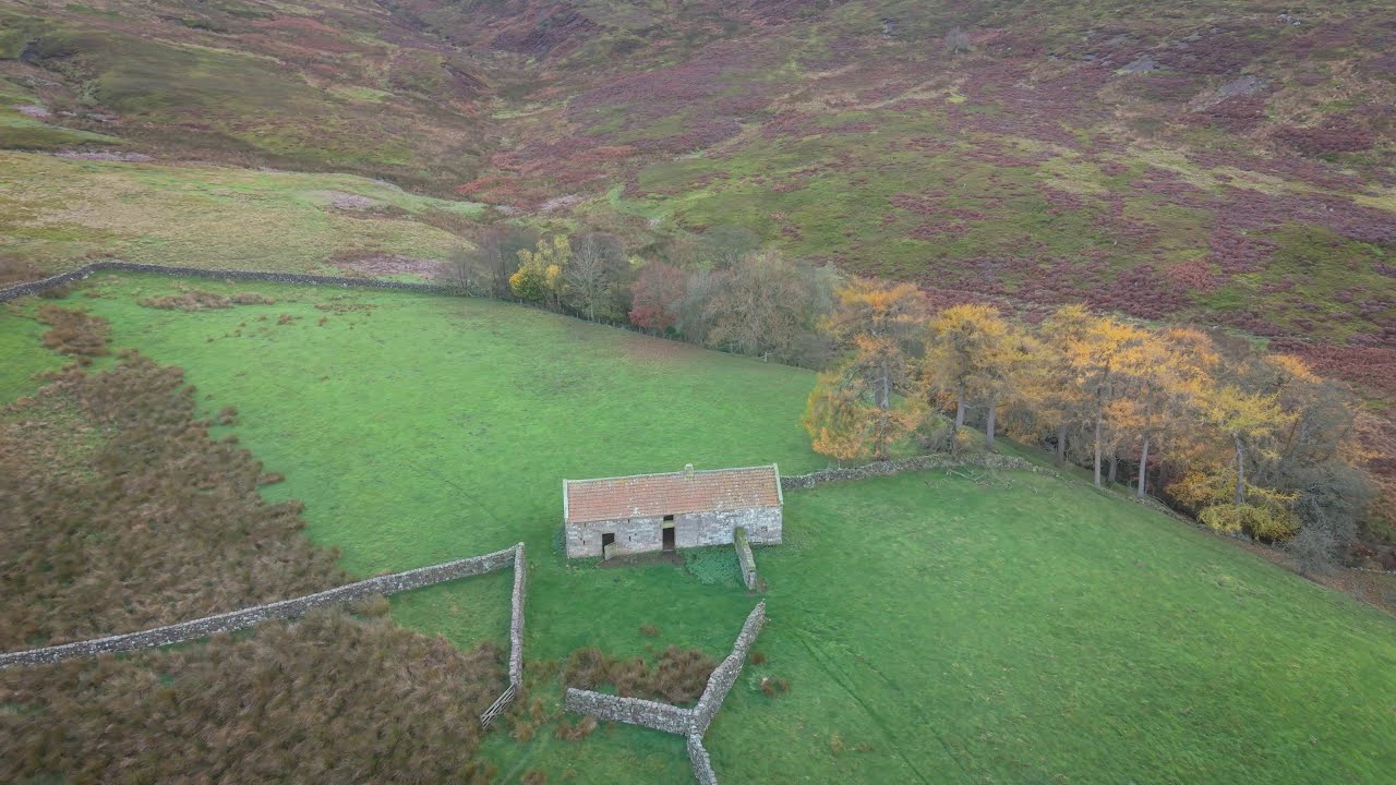 Anthony House
