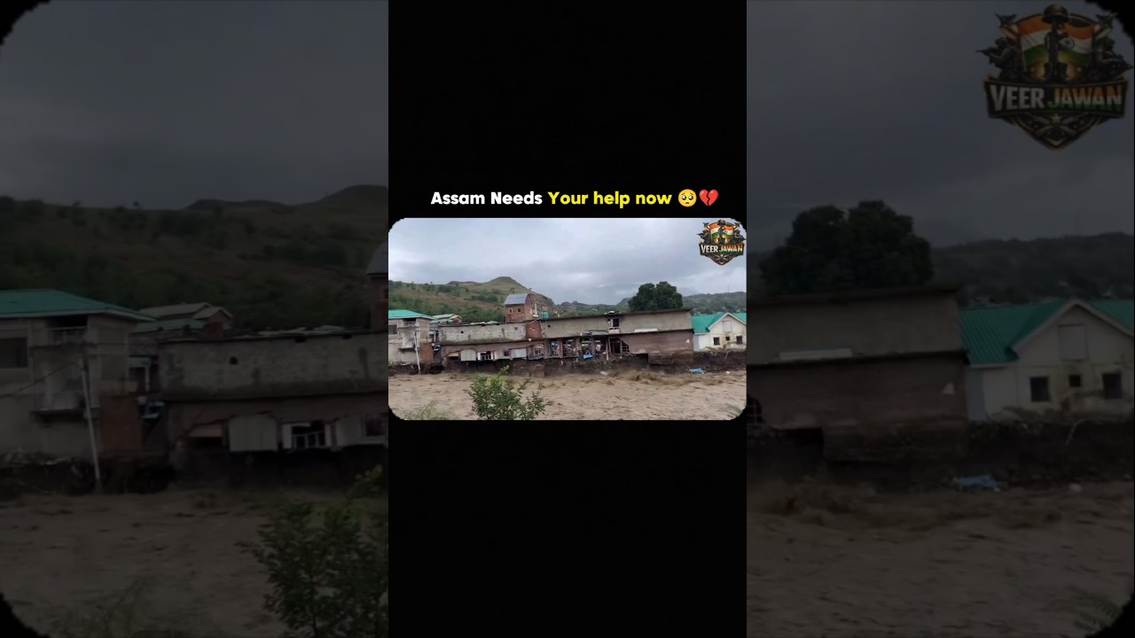 Assam Needs Your help now 🥺💔 || Assam Floods #shorts #ytshorts #shortsfeed #assamflood