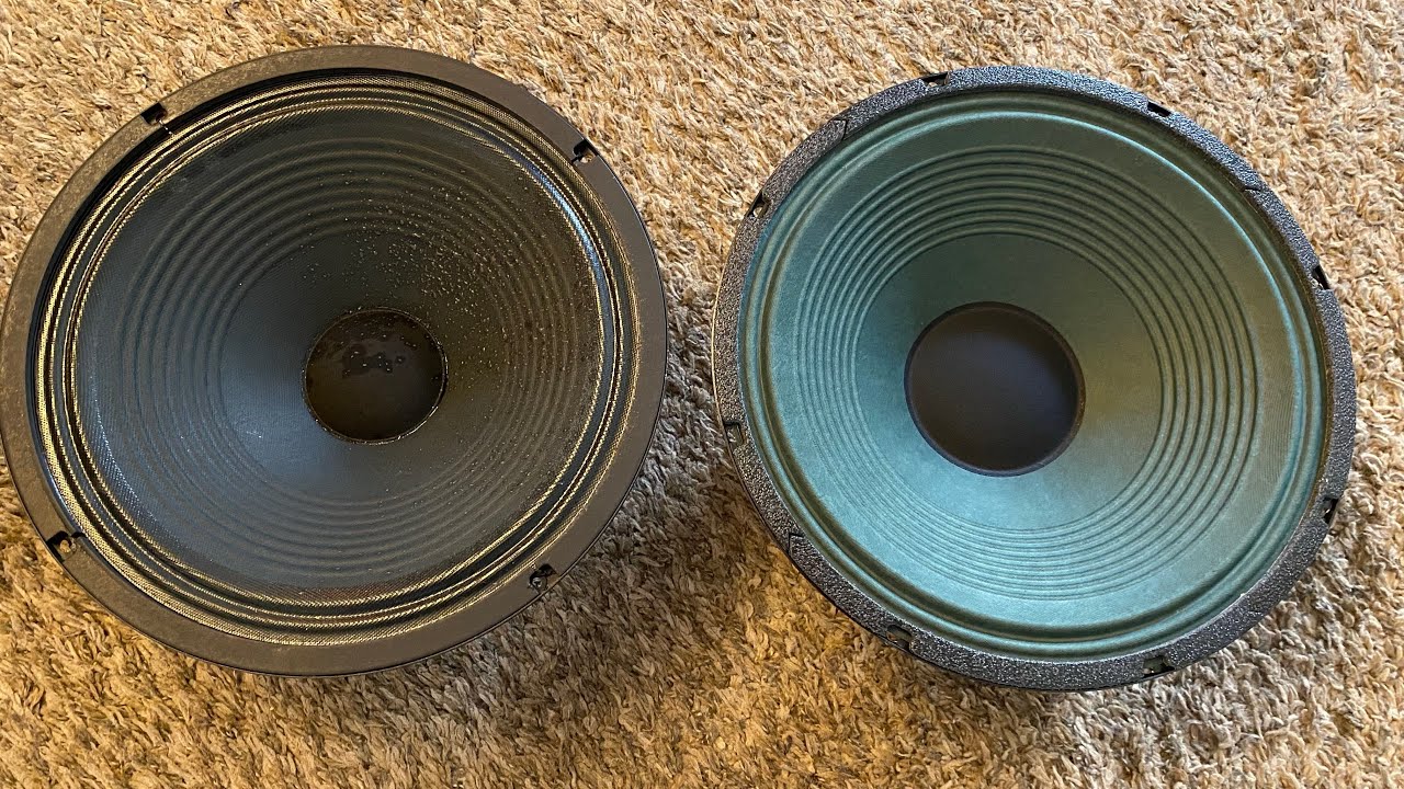 Lapsteel focused Speaker Shootout! Fender Champion 40 Cannabis Rex upgrade