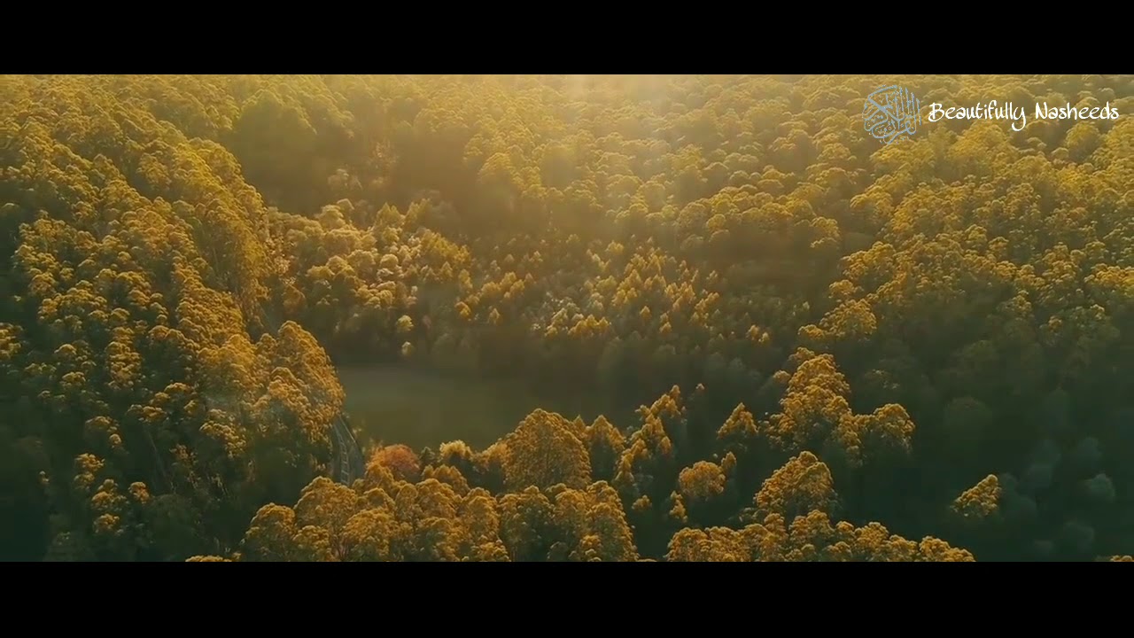 Enta Malaak(Eka) - Nasheed by Mohammed Al Omari