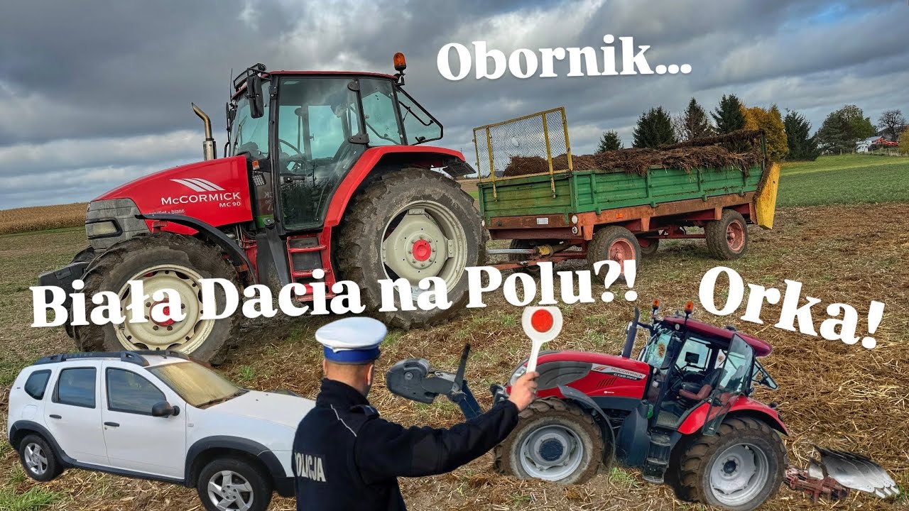 🚜Obornik i Orka pod Lucernę!🍀Biała Dacia na Polu?!