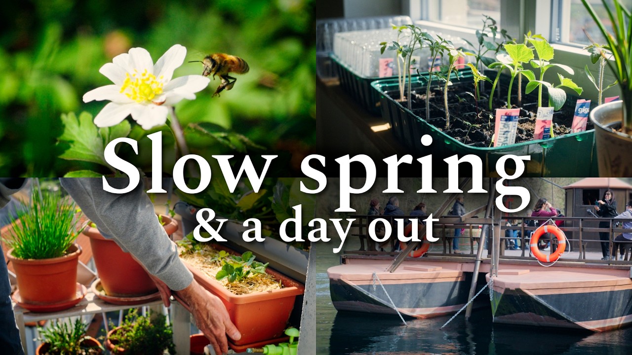 #38 Slow Spring | Sowing Seeds & Balcony Prep | Silent Vlog