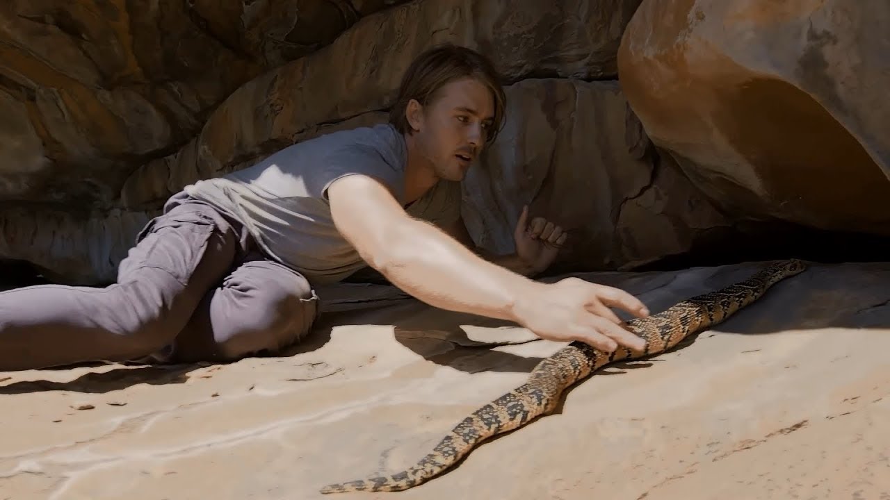 Tickle One of Africa's Deadliest Vipers Next to Ancient Cave Paintings