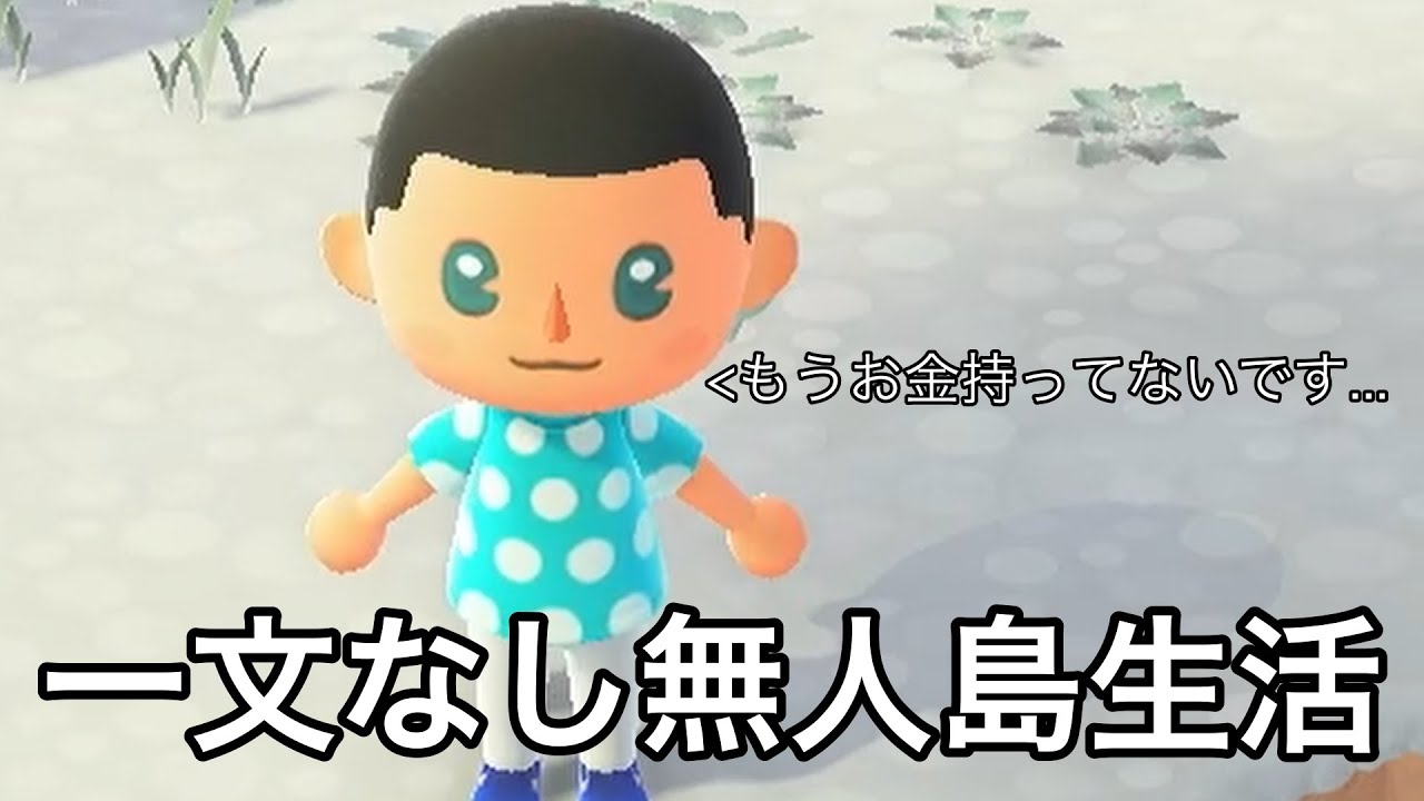 【金持ってるだろ】あつ森でのんびり過ごしたい人part2