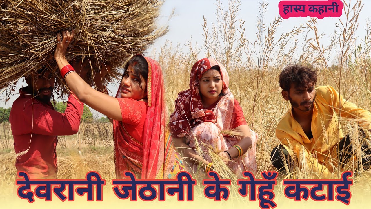 देवरानी जेठानी के गेहूं कटाई - Gehu katayi mijayi : bagheli comedy video | Manish Patel Rewa
