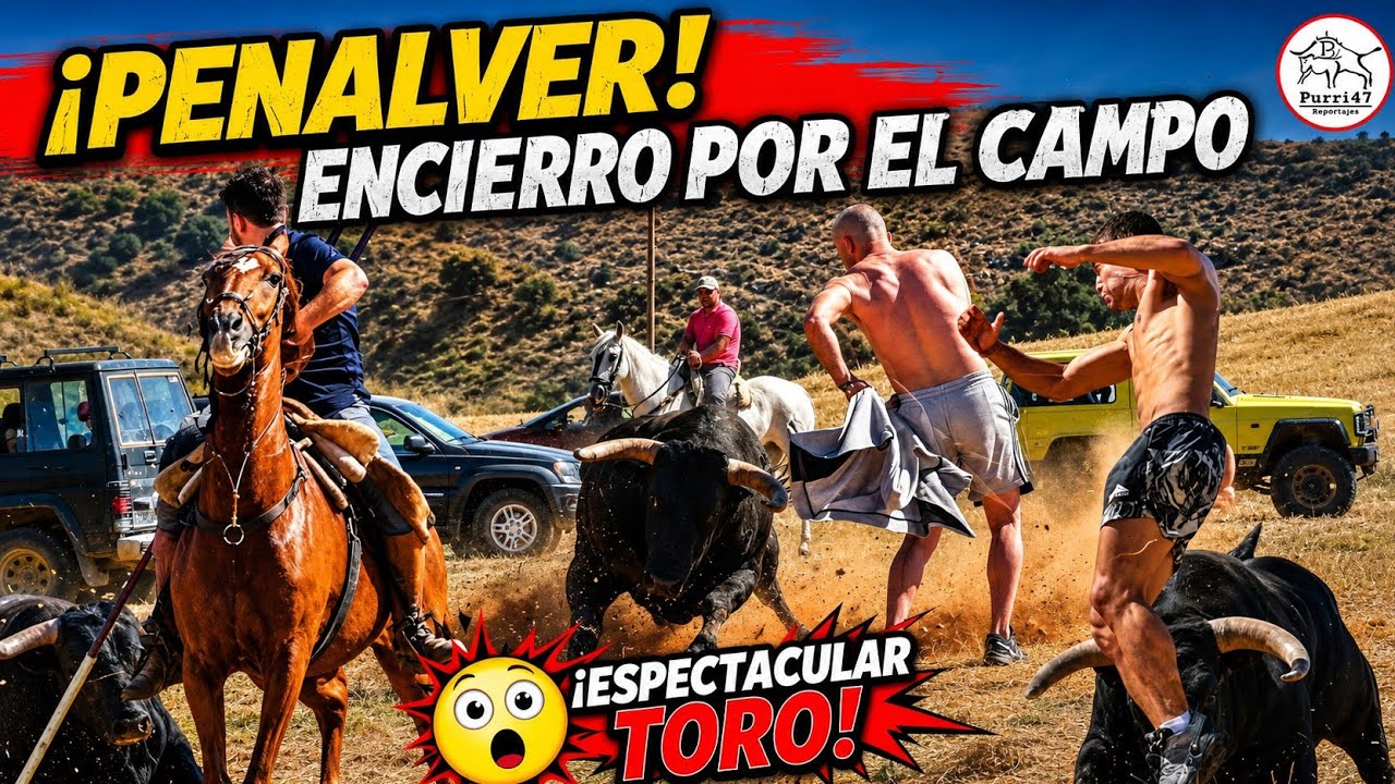 🔥ESPECTACULAR TORO🏆!! 🔥PE&Ntilde;ALVER ENCIERRO POR EL CAMPO🌾2025👌