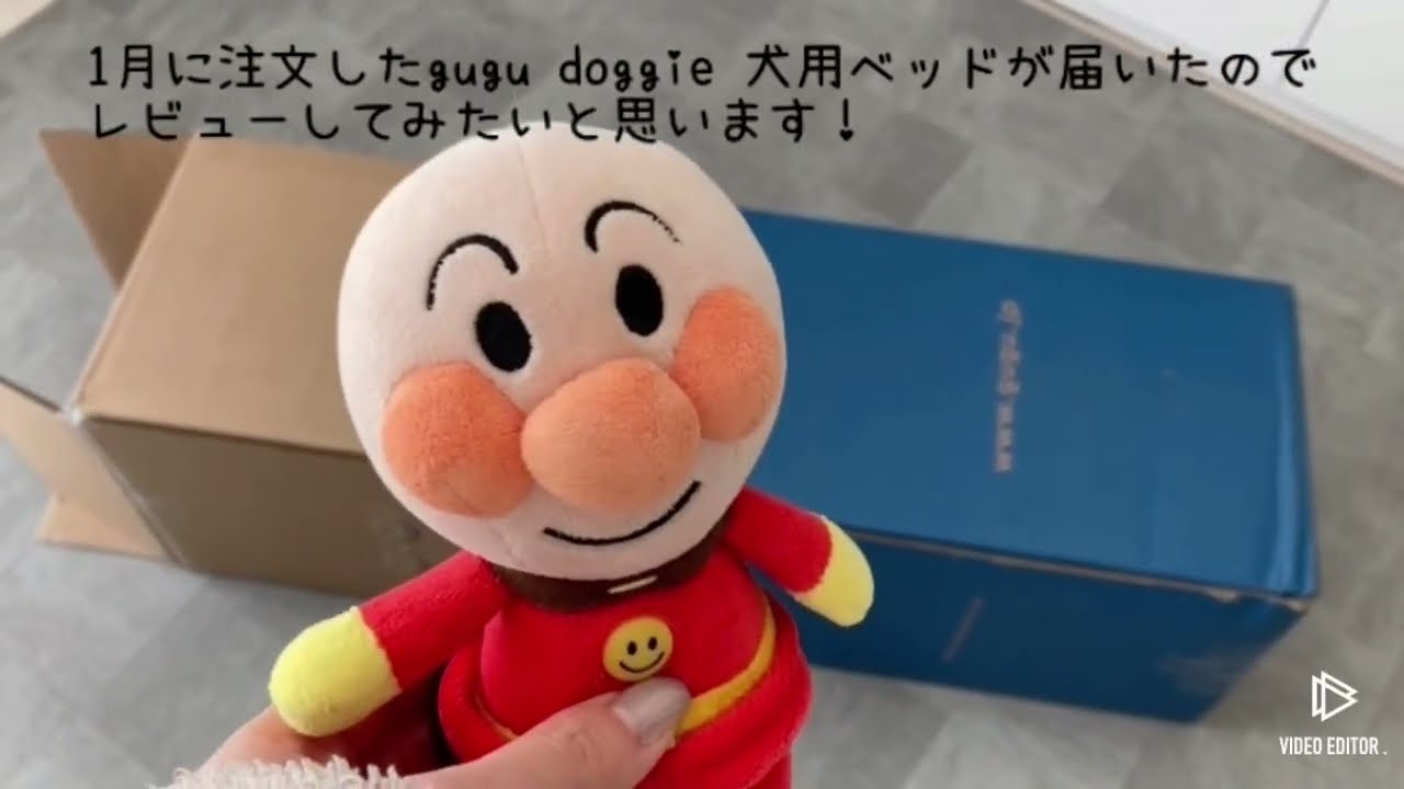 高級犬用ベッドをGETしました！