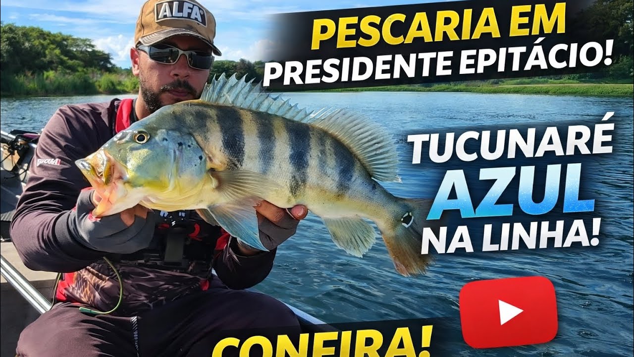 Que dia! Tucunaré Azul apareceu em Presidente Epitácio
