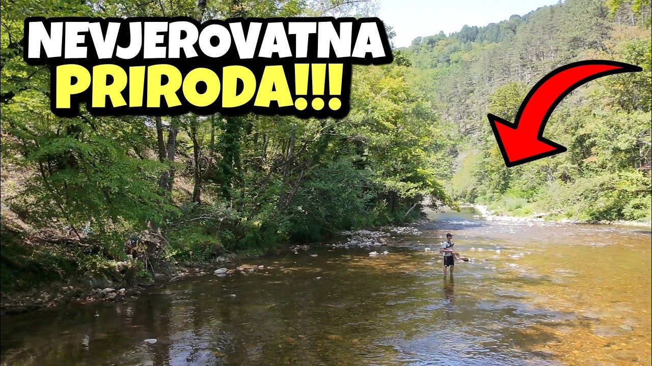 Pecanje KLENA - Rijeka Krivaja !!! Uživanje u prirodi !!! 