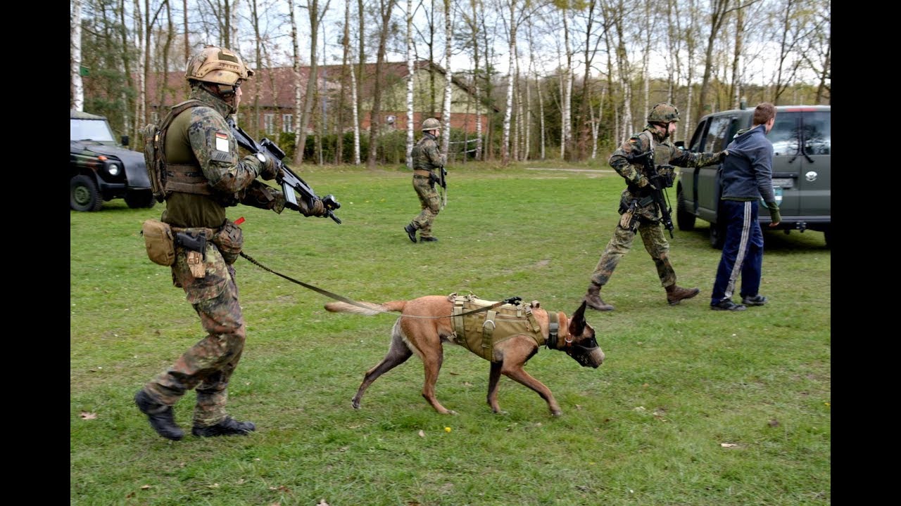 Diensthunde - Fallschirmjägerregiment 31