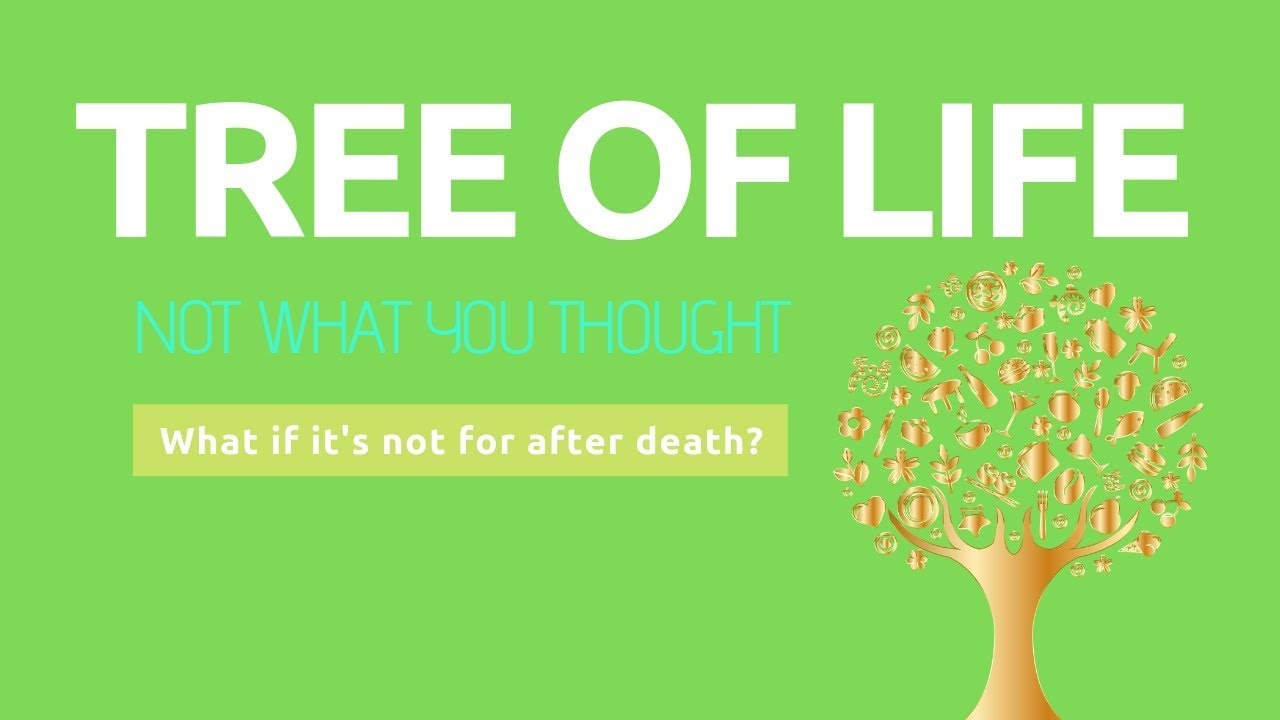 The TREE OF LIFE Bible Study (The Tree of Life in Revelation) & The Fruit of the Tree of Life