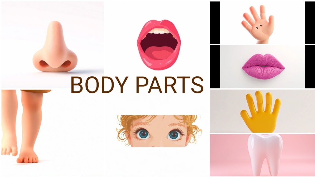Body Parts in English for Kids | Body Parts Name with Pictures | Kids Learning Video