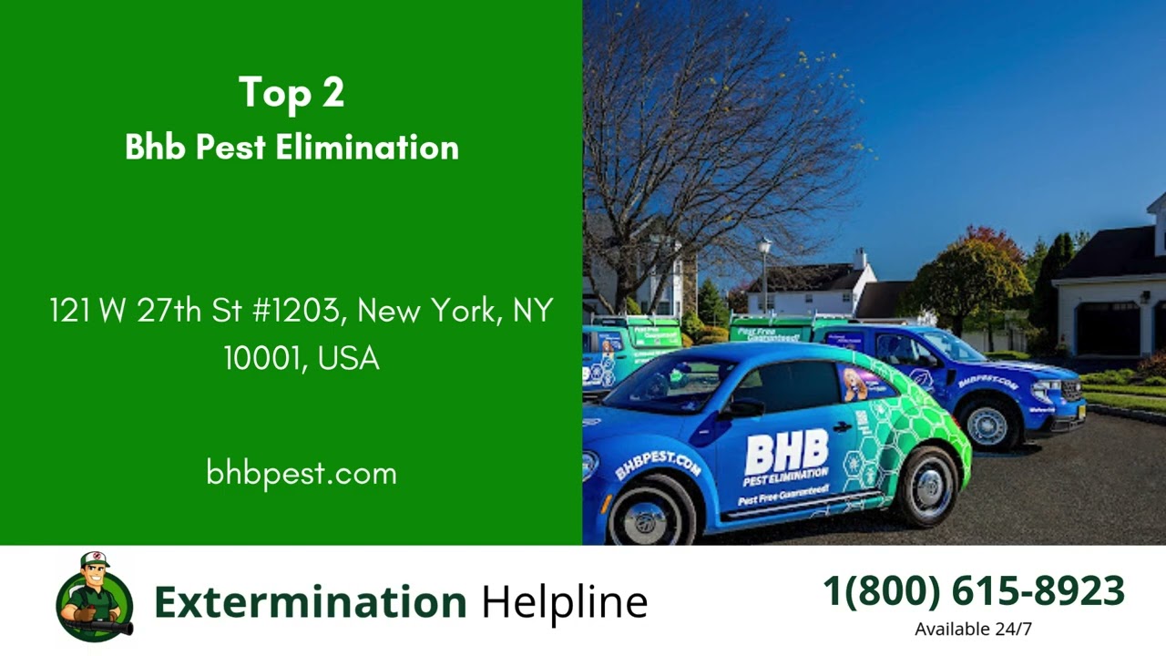 Top 3 Exterminators in University City