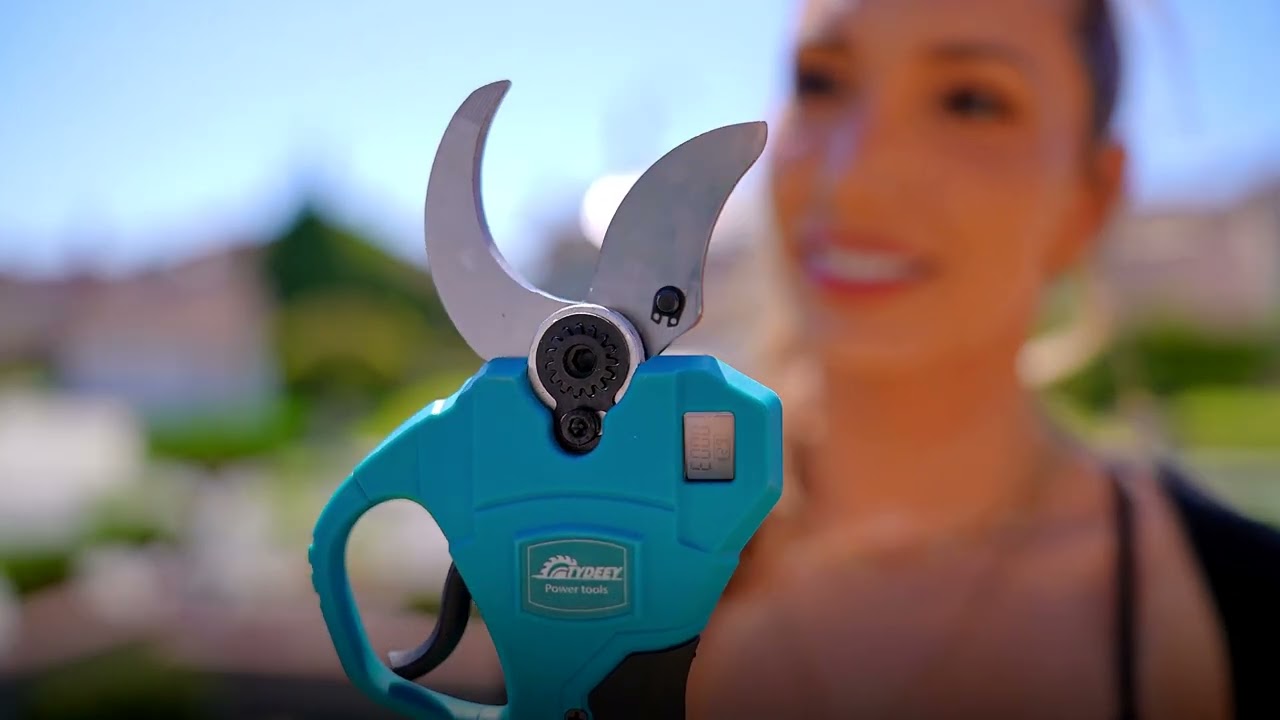 The Best Cordless Pole Pruning Shears From Tydeey