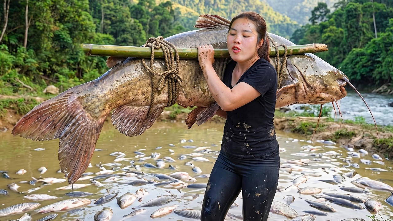 Full day: Single mom catching giant carp by hand to sell & cooking yummy meals for children
