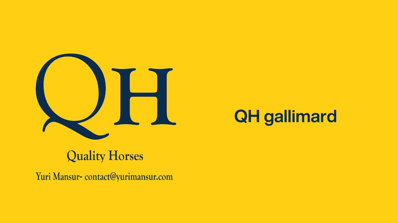 QH Gallimard, 2nd place 145 Ranking Krakau