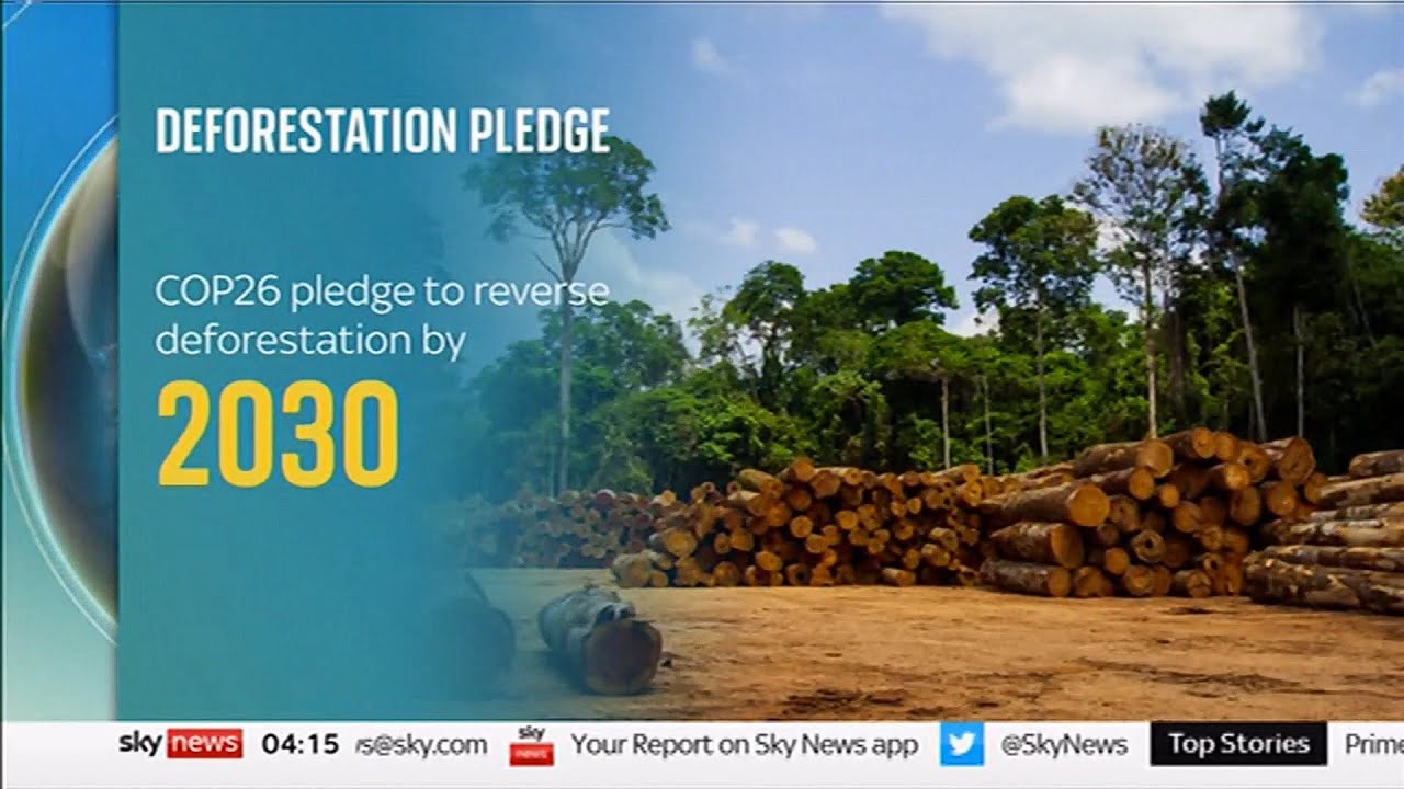 COP26 deforestation pledge & lungs of the world in Brazil/(Global) - Sky News - 3rd November 2021