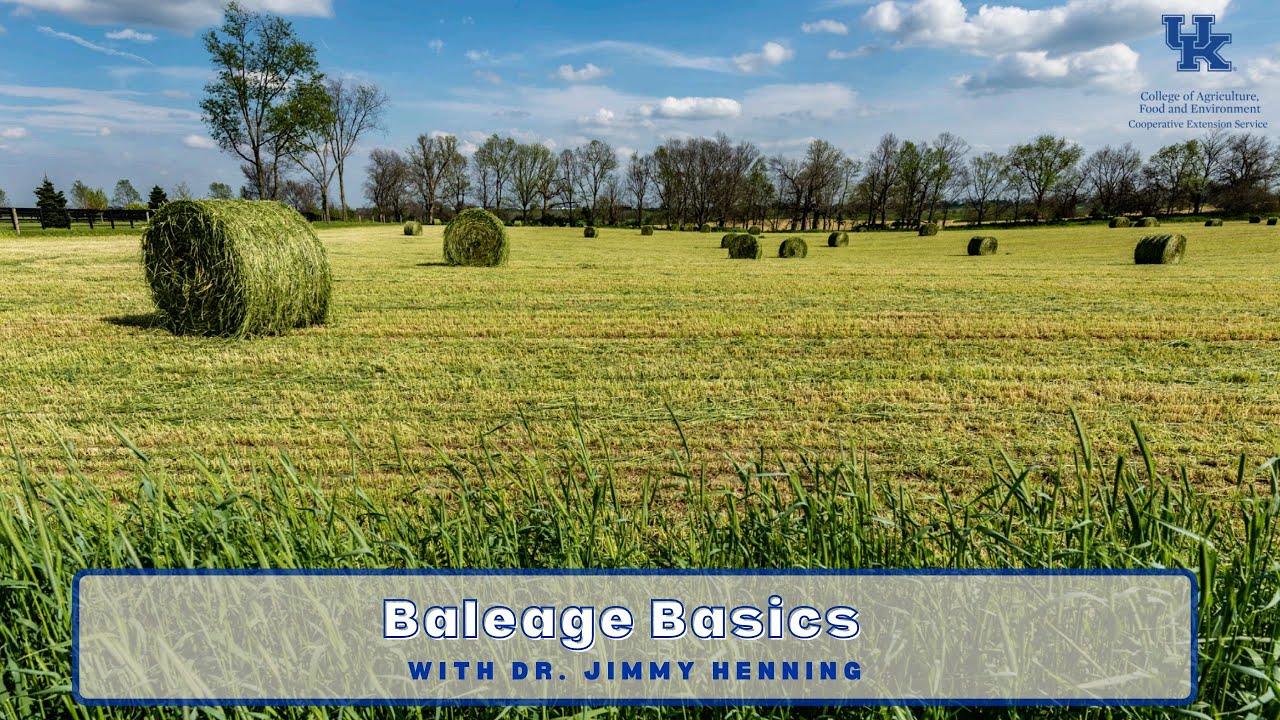 Baleage Basics