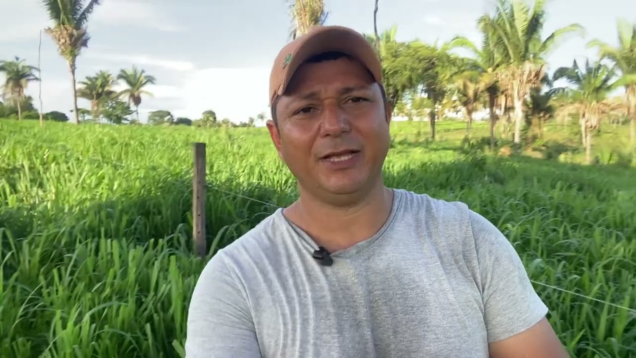 Olha como esta nossa forma de capim Miyagi
