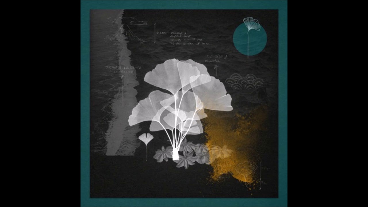 Safar (FR) - Eternal Roots (Paax Tulum Remix) [Redolent Music]