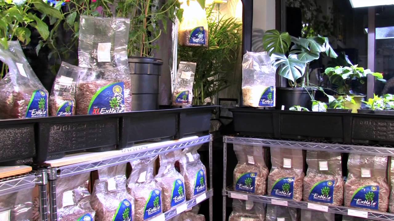 ExHale Homegrown CO2 is loved by Store Owners
