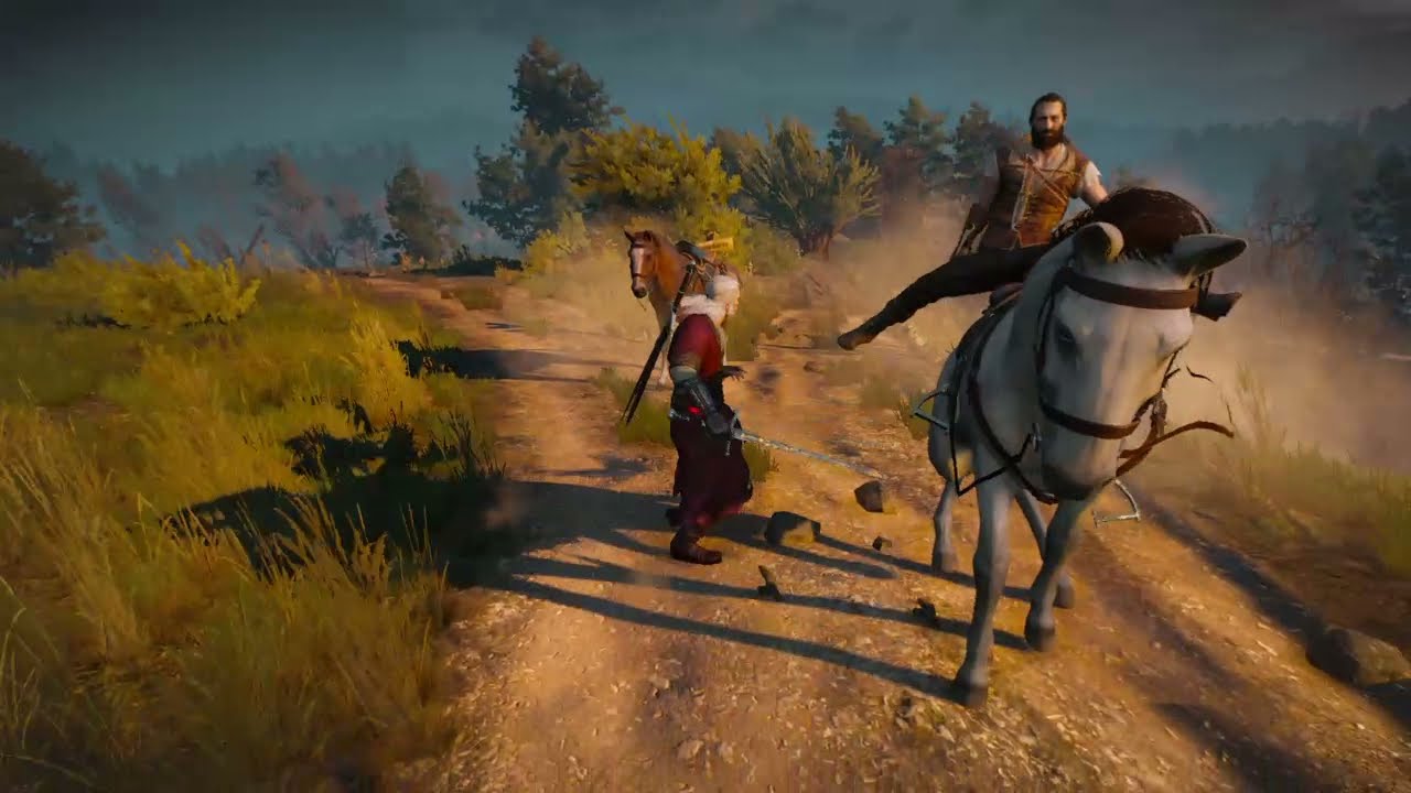 Do a split! (Witcher 3)