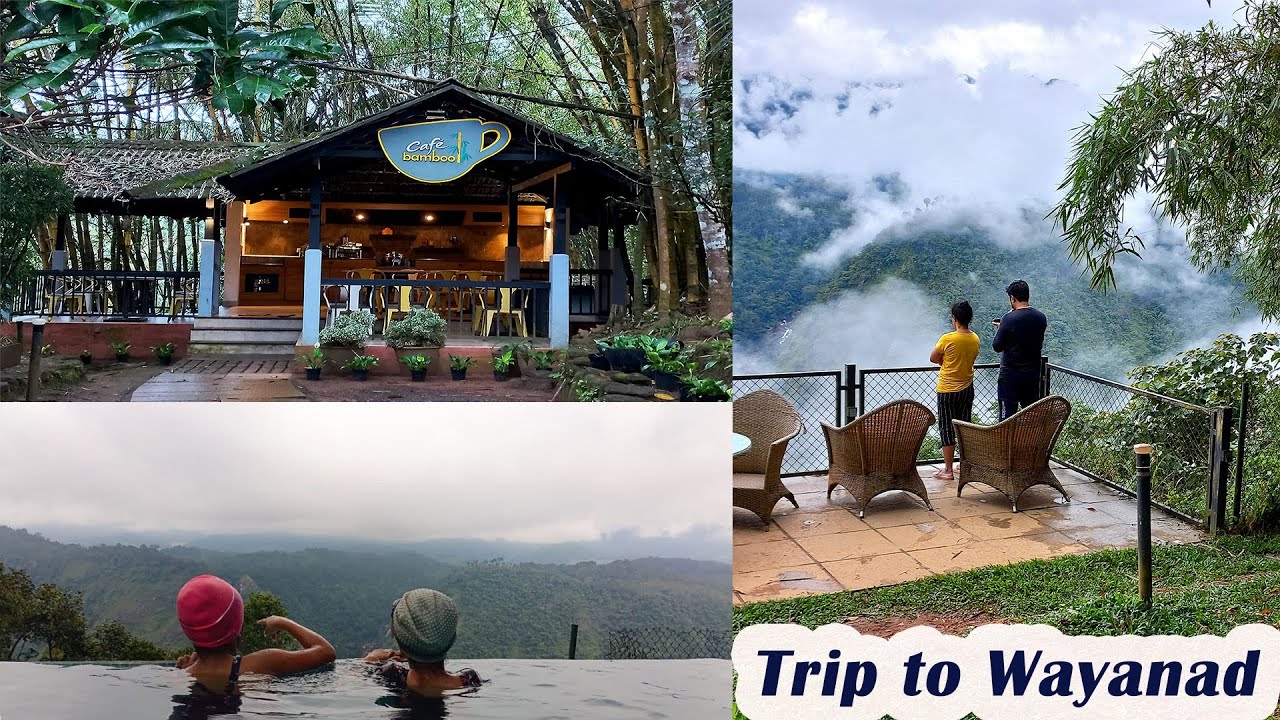 Wayanad Travel vlog: Wild life, Edakkal Caves, Land's End Resort | Weekend Getaway