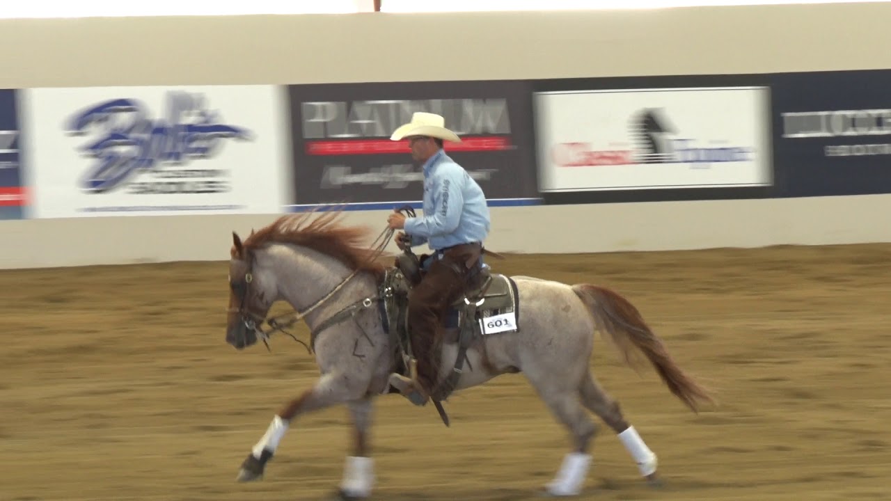 Quahadi - 2019 NRCHA Derby Open Two Rein